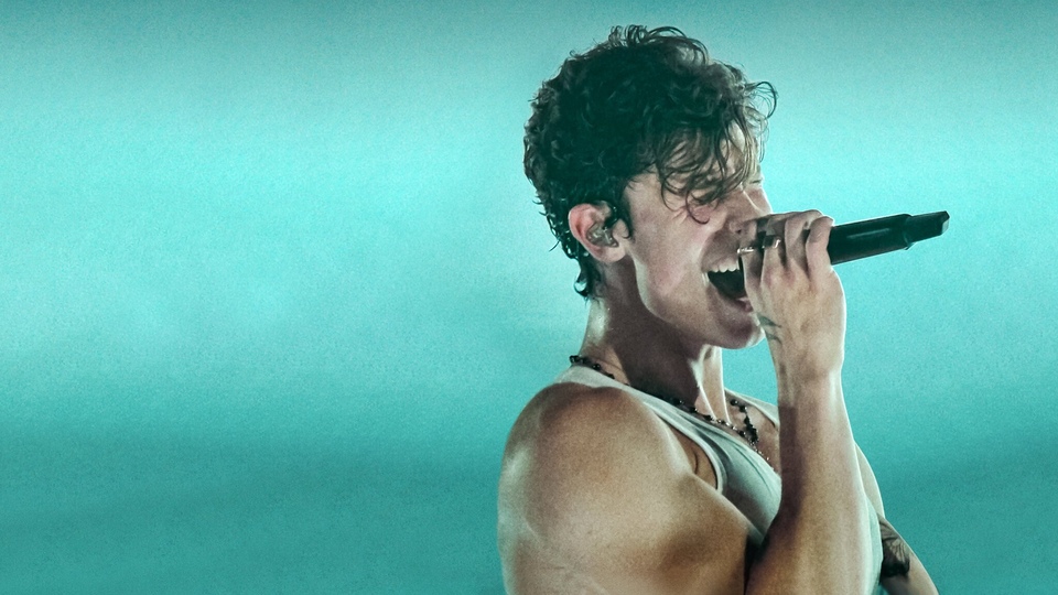 BEST OF SHAWN MENDES