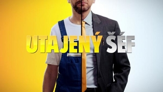 Utajený šéf| II (7)