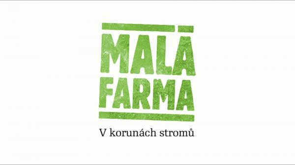 V korunách stromů