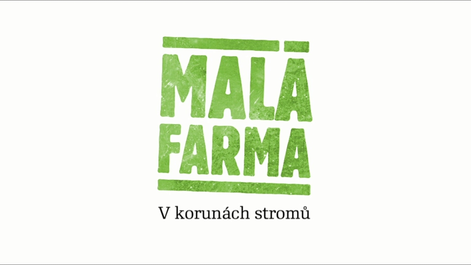 Dokument V&nbsp;korunách stromů