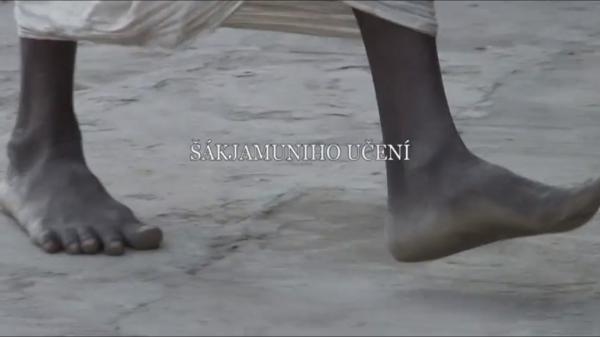Šákjamuniho učení