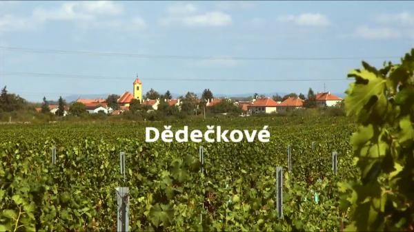 Dědečkové