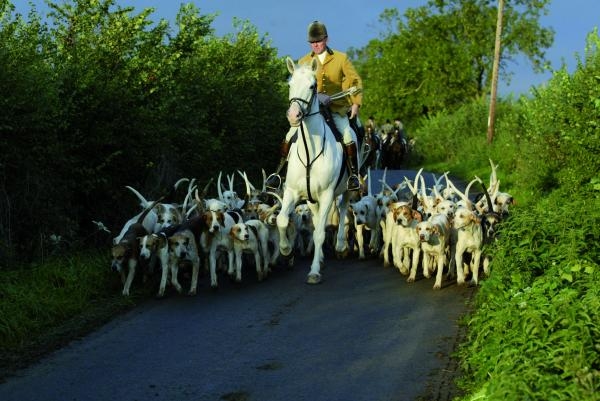 Lov pumy v Britské Kolumbii