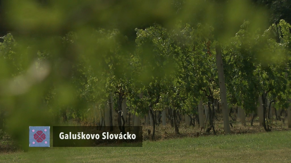 Dokument Zdeněk Galuška