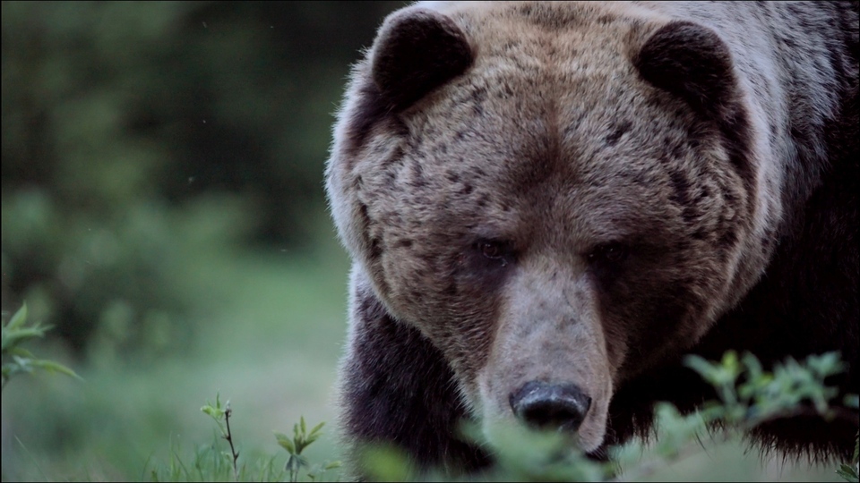Documentary Hohenlohe - kníže Tater