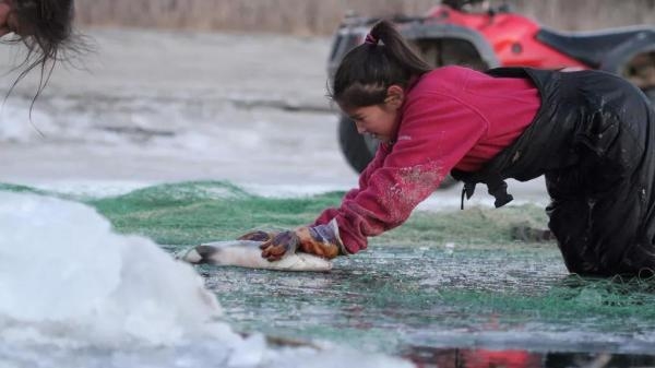 Aljaska: Preživljavanje ekstrema
