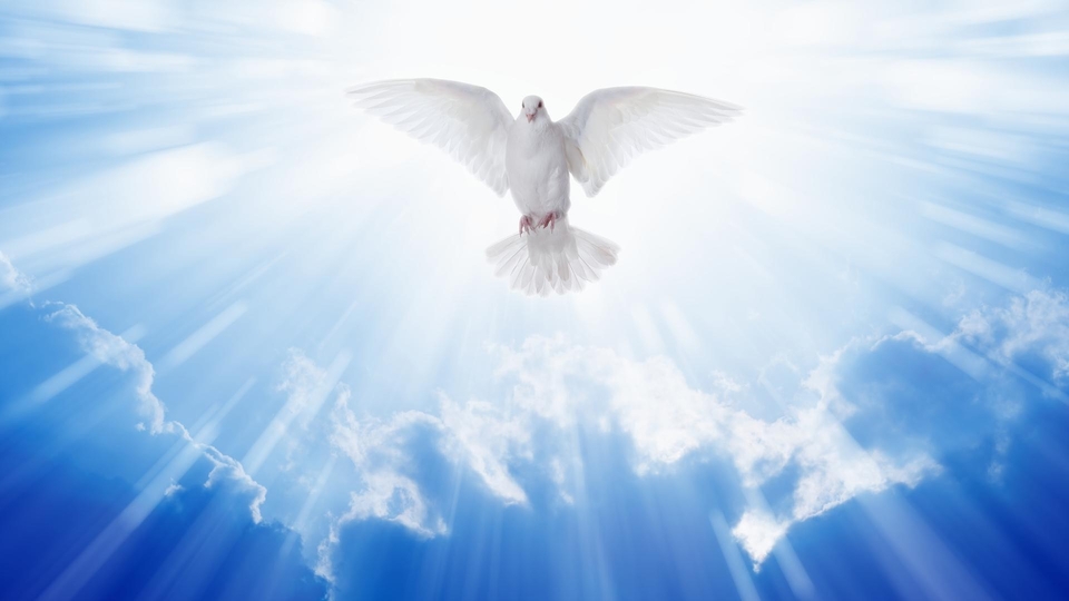 Vatican News - Pasterka z Watykanu