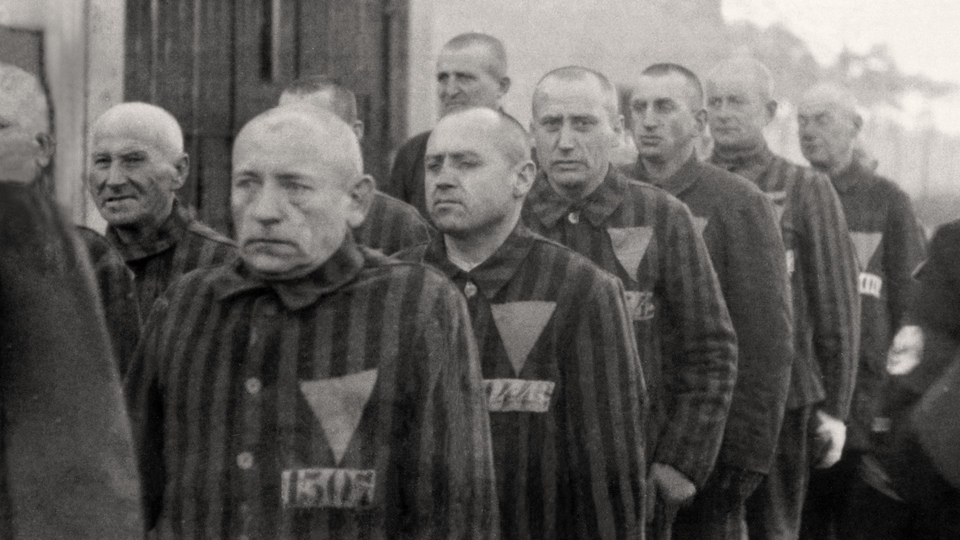 Documentary Homosexuálové proti nacismu