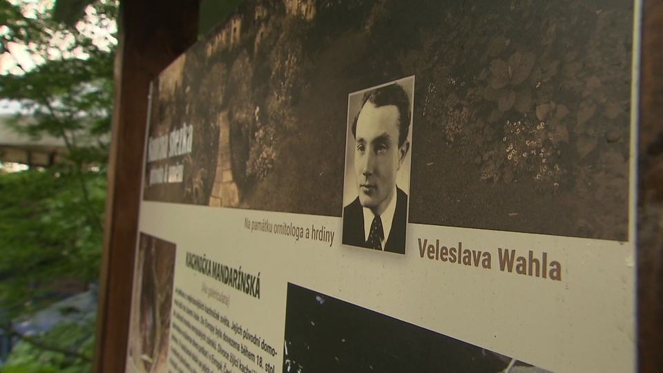 Naučná stezka Veleslava Wahla