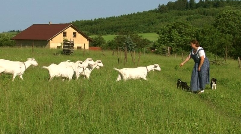 Dokument Krajina pro život