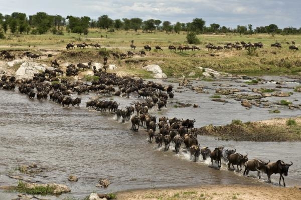 Nomádi ze Serengeti