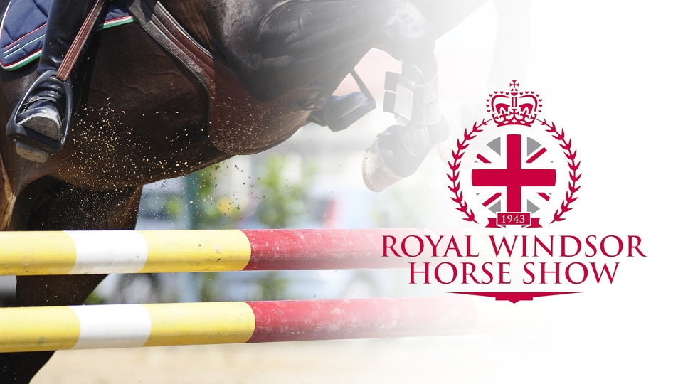 The best equestrianism online