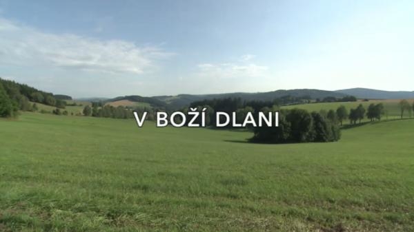 V Boží dlani