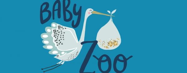Baby Zoo