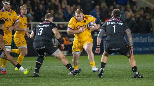 Northampton Saints - Newcastle Red Bulls