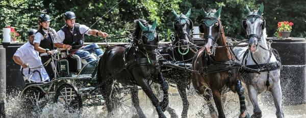 Jezdectví: Mezinárodní závody spřežení CAI Písečné nad Dyjí