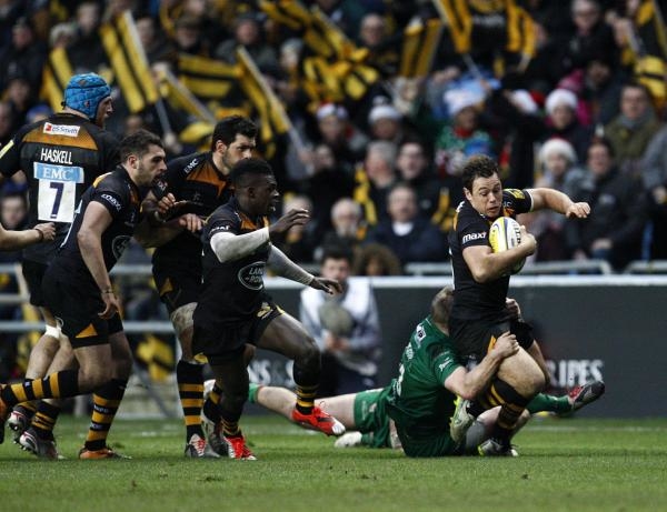 Northampton Saints - Harlequins