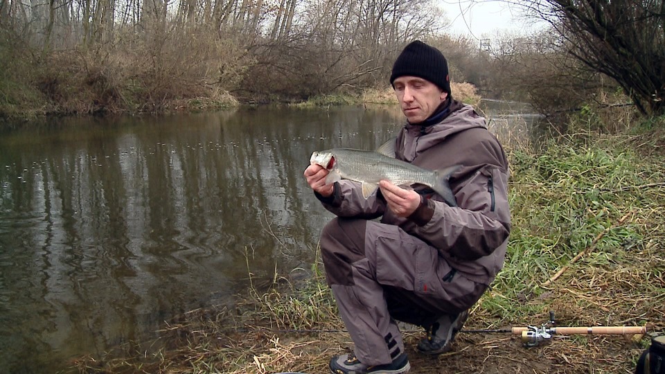 Documentary VII. IBCC 5. den závodu