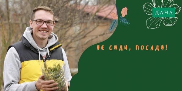 Не сиди, посади