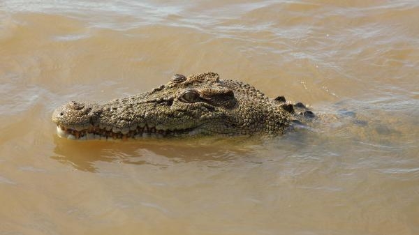 Borneo: sekretne królestwo