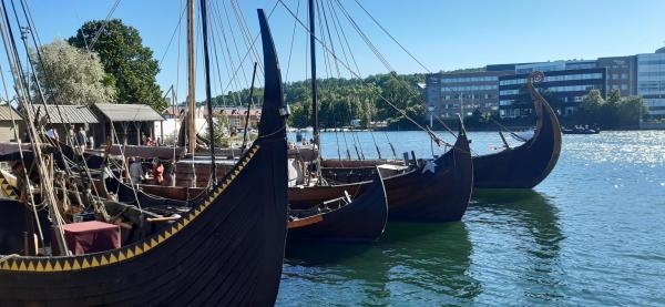 Vikinzi: Istinita priča