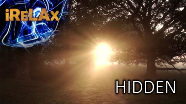 Hidden - Skrytá krása
