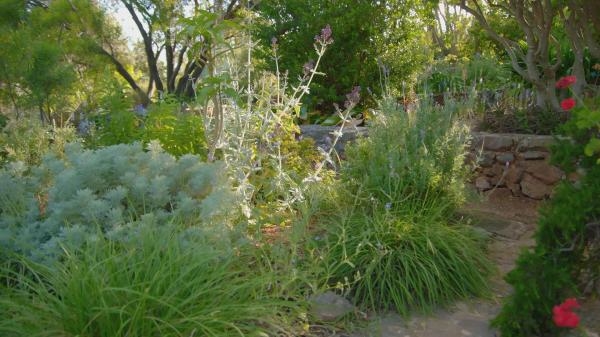 Monty Don predstavlja jadranske vrtove