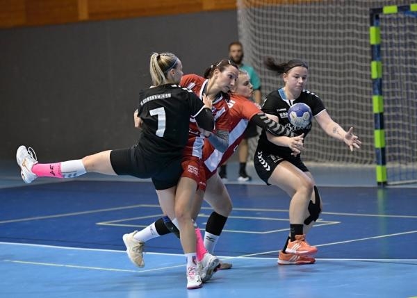 Házená: DHC Slavia Praha - DHK Zora Olomouc
