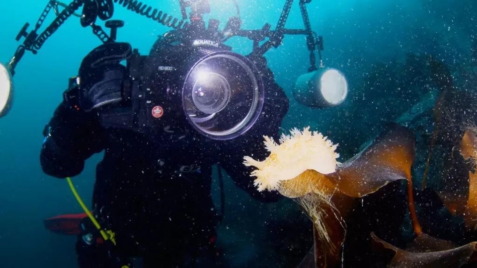 Dokumentarci Netaknuta mora: Moć zaštite