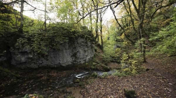 Anglia: cztery pory roku