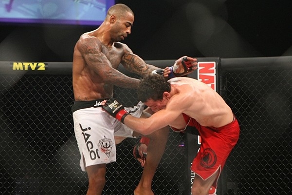The best kick boxing online