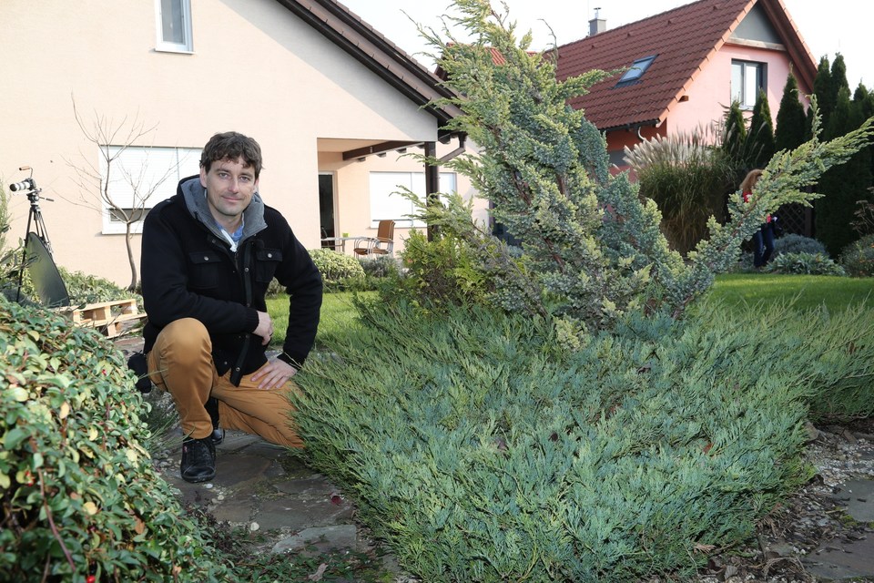 The best gardening programs from year 2023 online