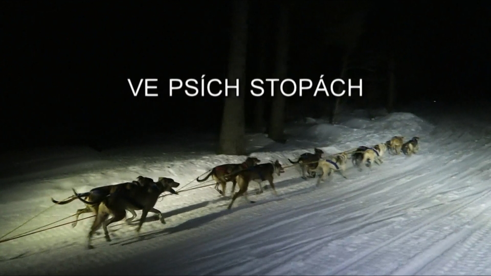 Dokument Ve psích stopách