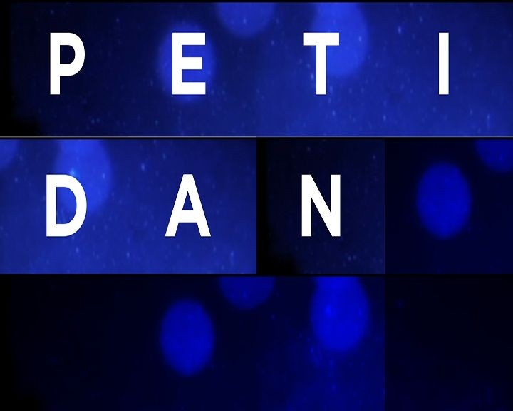 Peti dan