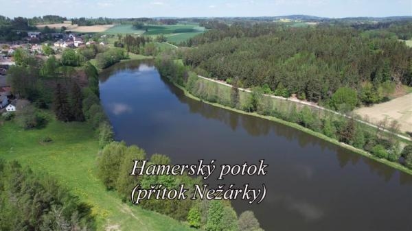 Hamerský potok - přítok Nežárky