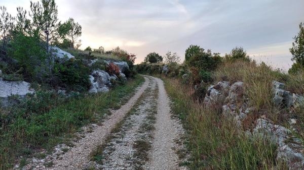Porečanka, put kroz tri zemlje