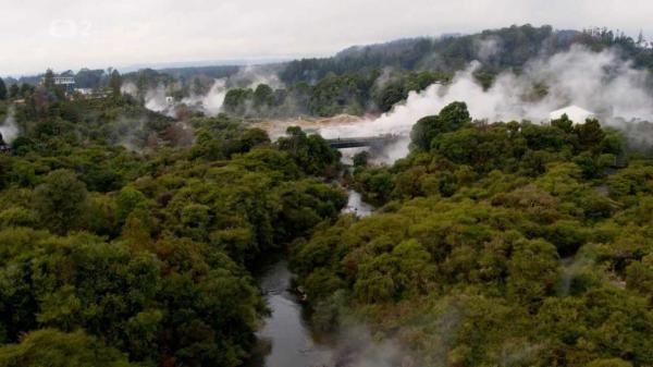 Kivi a kauri - ohrožené endemické druhy