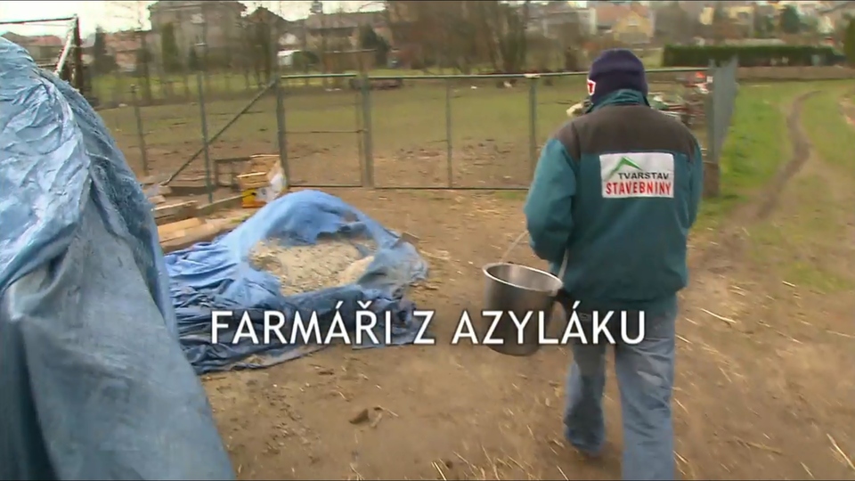 Dokument Farmáři z&nbsp;azyláku