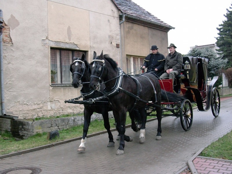 Dokument Muzeum koňských postrojů a&nbsp;kočárových lamp