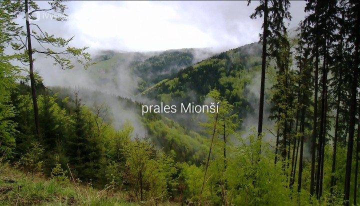 Документ Prales Mionší