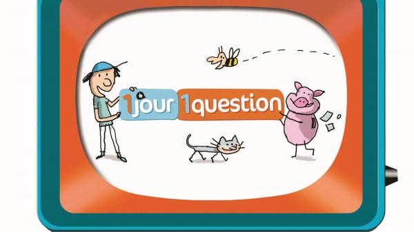 Un jour, une question