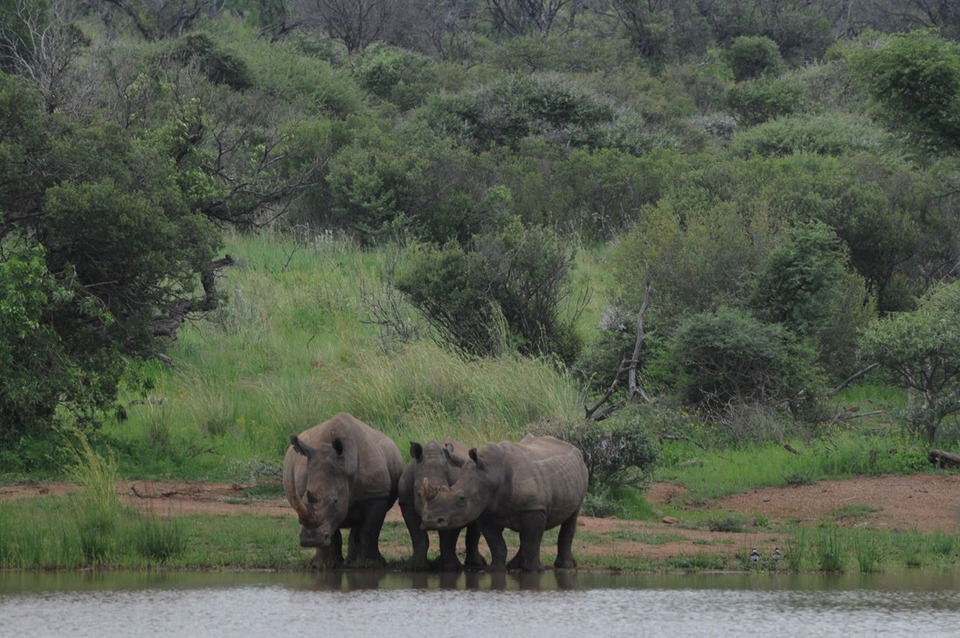 Dokument Na cestě po Matabelsku