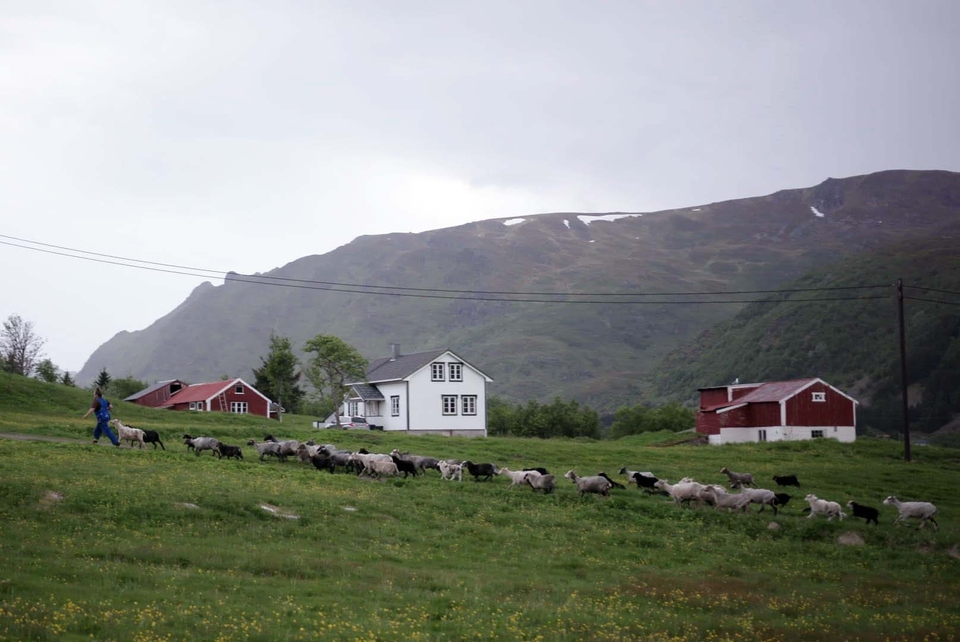 Документ Godina na norveškim Lofotima