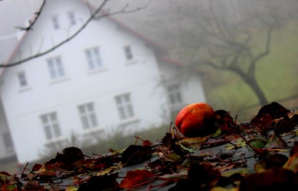 Poslední odcházení Václava Havla
