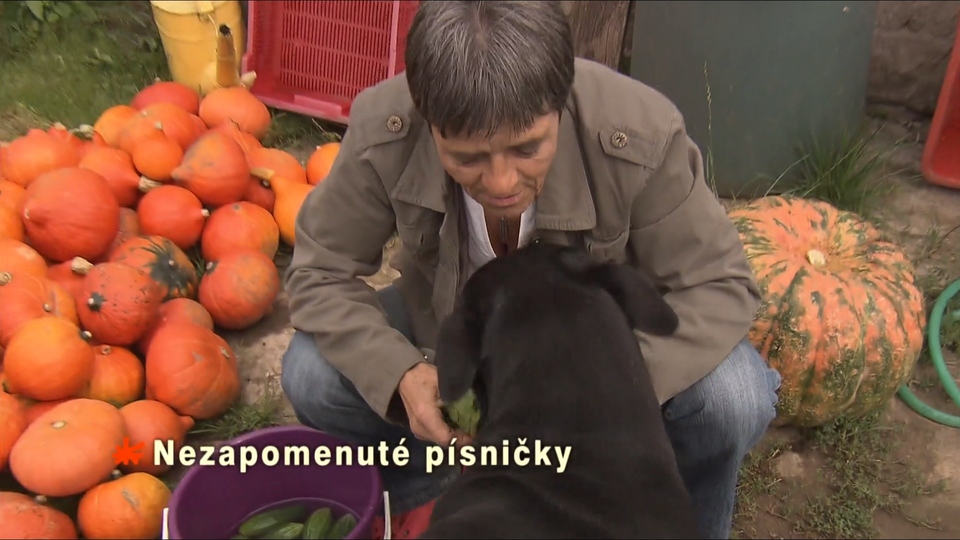 Dokument Nezapomenuté písničky
