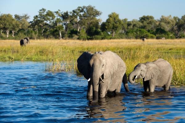 Botswana - poslední africký ráj