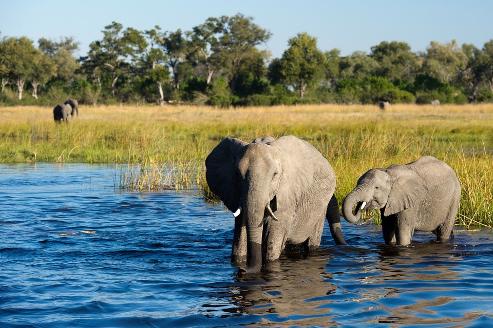Documentary Botswana - poslední africký ráj