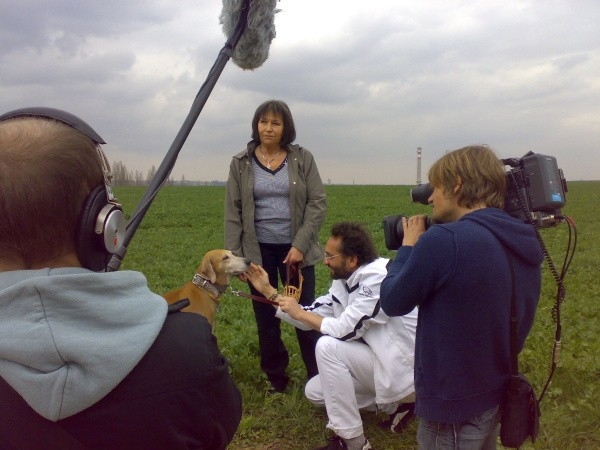 Documentary Příroda