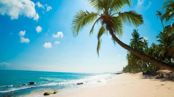 POSTCARD PERFECT - SAINT MARTIN