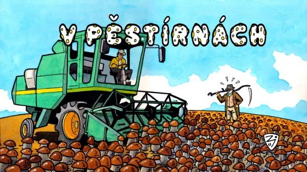 V pěstírnách